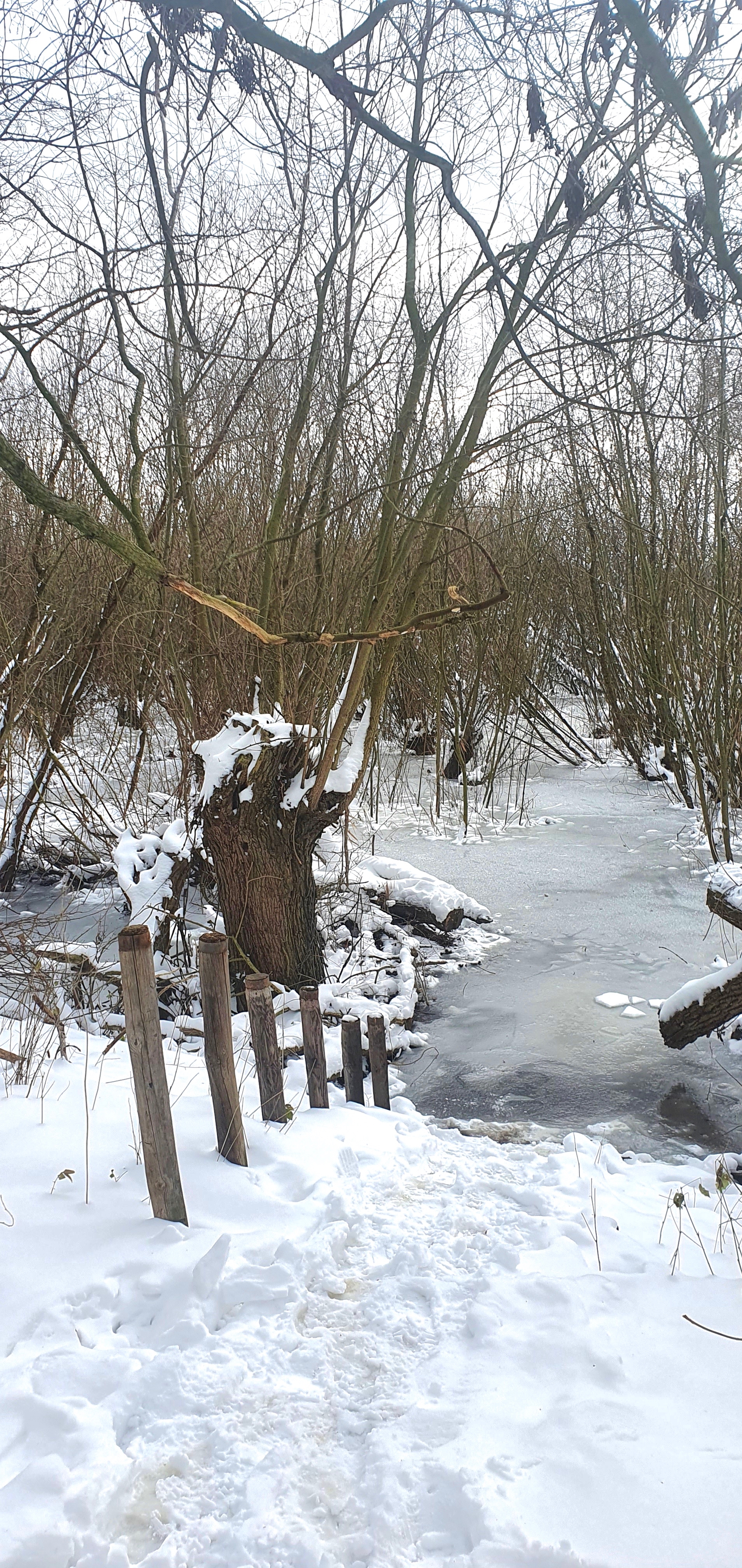 winter2